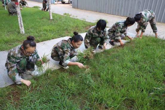 137be6f84035f1f1655e722cb5a6863